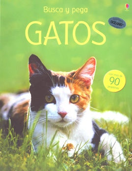 BUSCA Y PEGA - GATOS