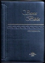 Biblia NEGRA