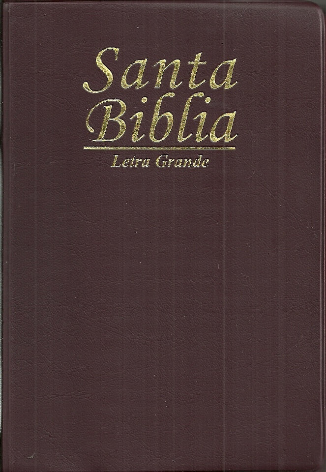 SANTA BIBLIA LETRA GRANDE | VACIO