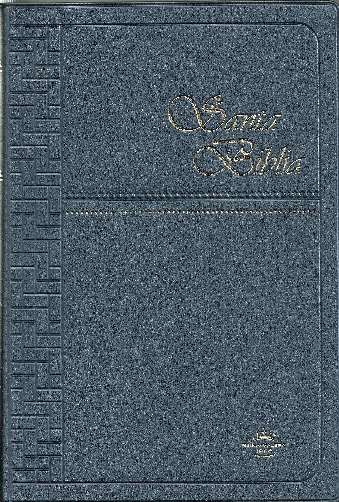 Santa Biblia RVR062C AZUL