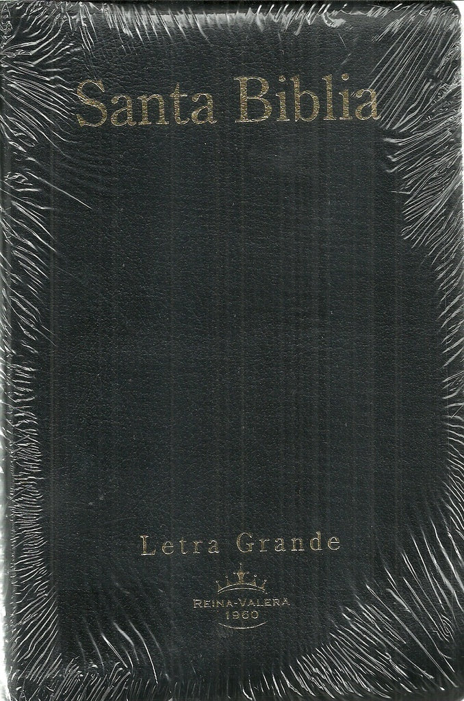 Biblia RVR067cTILG - Negro