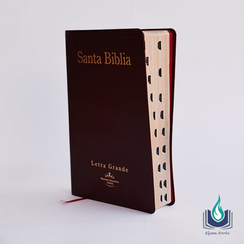 BIBLIA RVR067CTILG-VINO