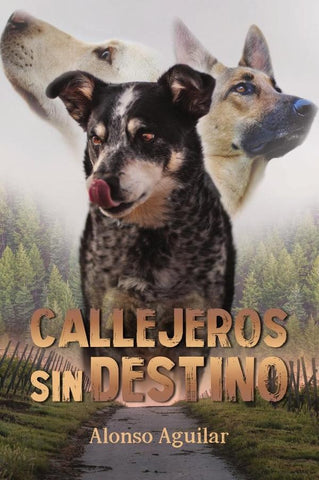 Callejeros sin destino | Alonso Aguilar
