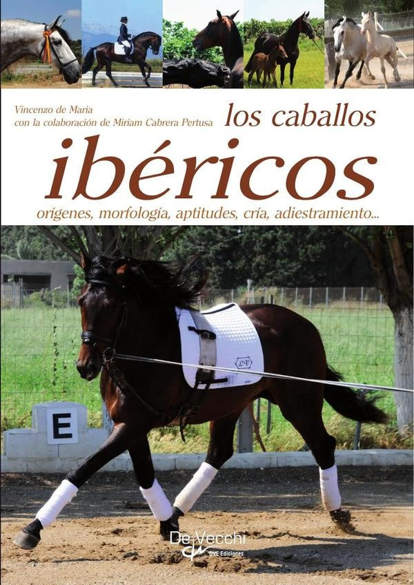Los caballos ibéricos | Vincenzo de Maria
