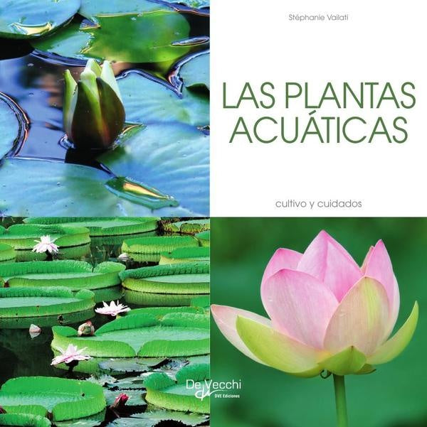 Las plantas acuáticas | Stéphanie Vailati