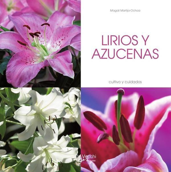 Lirios y azucenas | Magali Martija-Ochoa