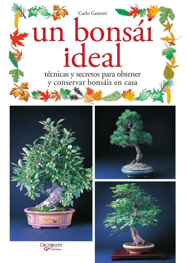 Un bonsái ideal | Carlo Genotti