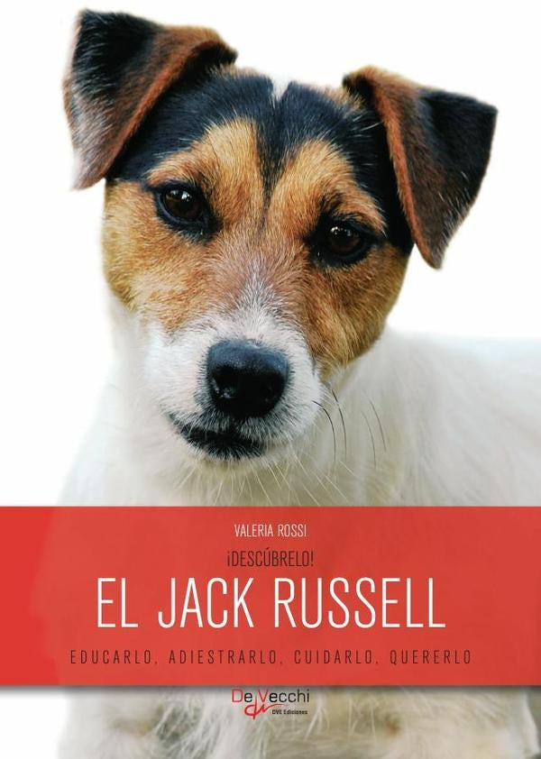 ¡Descúbrelo! El Jack Russell | Valeria Rossi