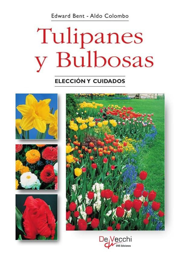 Tulipanes y Bulbosas | Colombo, BENT