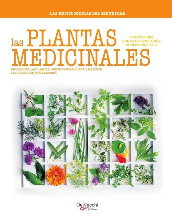 Las Plantas medicinales | Tina Cecchini