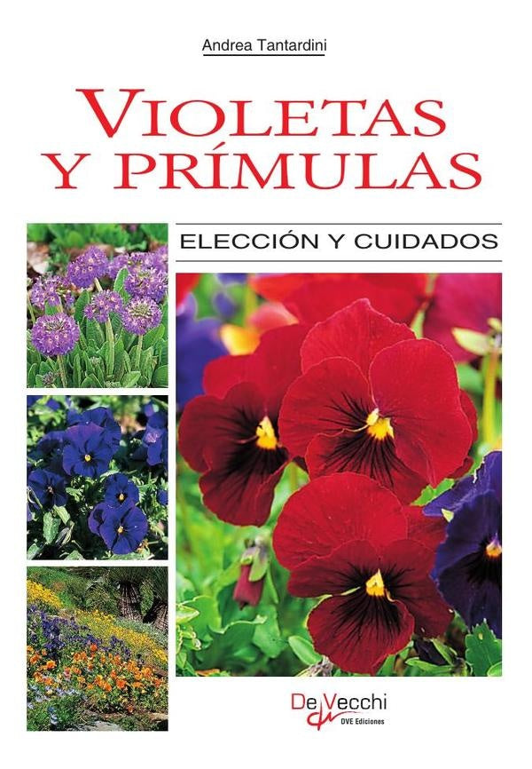 Violetas y prímulas | Andrea Tantardini