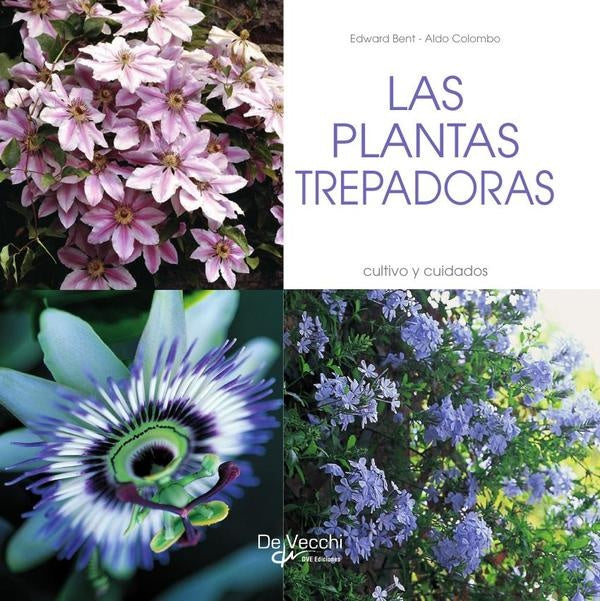 las plantas trepadoras | Colombo, BENT