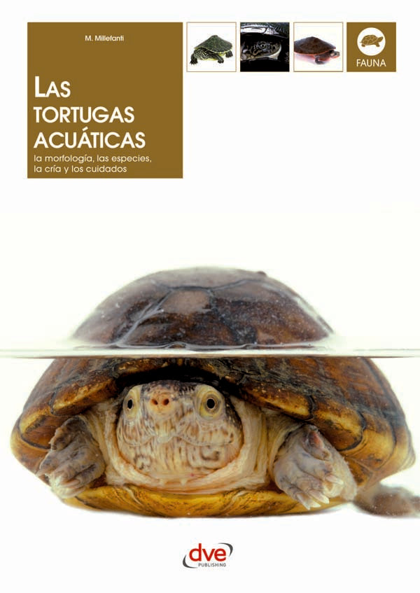 Las tortugas acuáticas | Millefanti, Millefanti