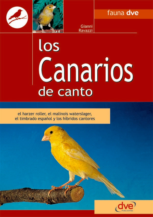 Los canarios de canto | RAVAZZI, Ravazzi