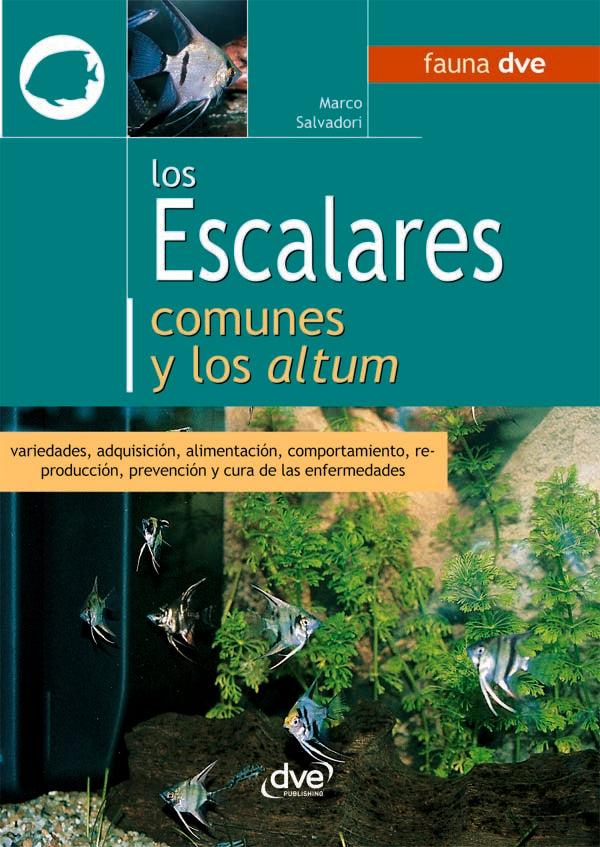 Los escalares comunes y los altum | Marco Salvadori