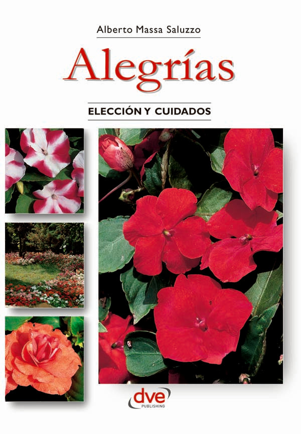 Alegrías | Massa Saluzzo