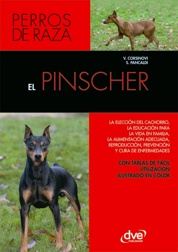 El pinscher | Corsinovi, Pancaldi
