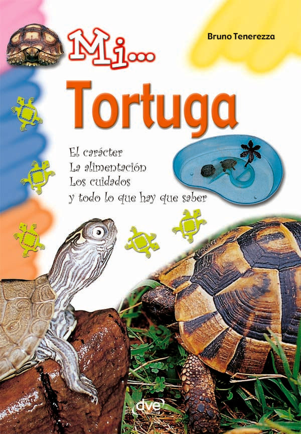 Mi... Tortuga | B. Tenerezza