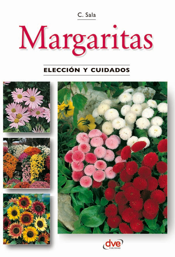 Margaritas | C. Sala