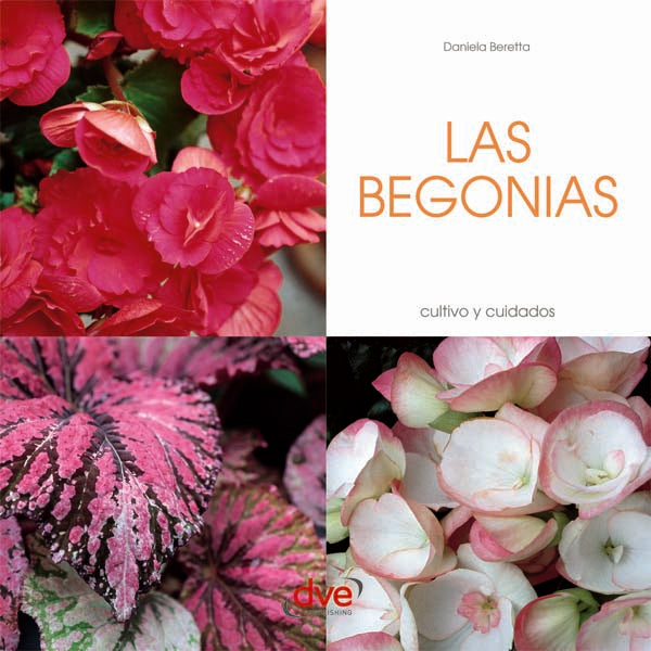 Las Begonias | Beretta, Beretta
