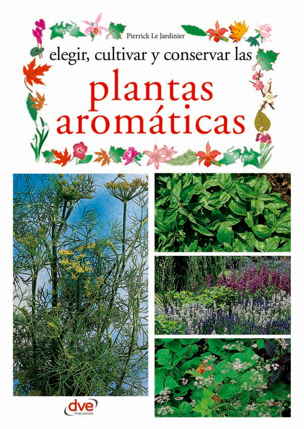 Elegir, cultivar y conservar las plantas aromáticas | Le Jardinier