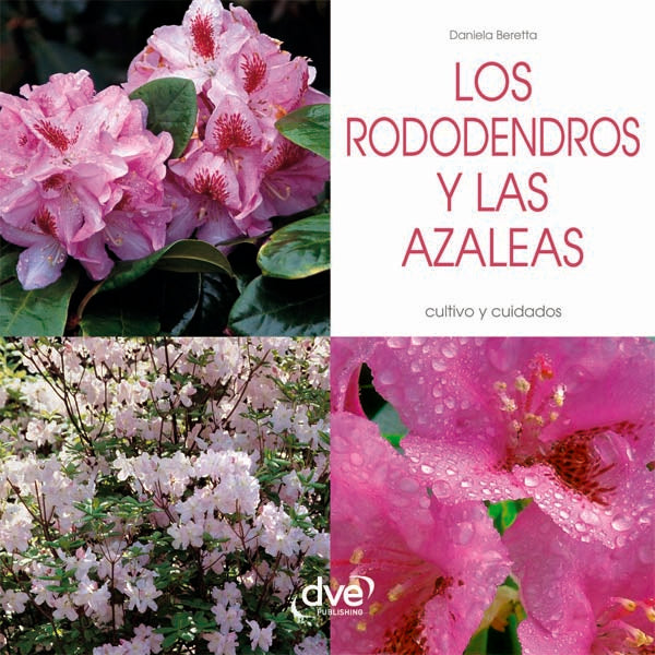 Los rododendros y las Azaleas | Beretta, Beretta
