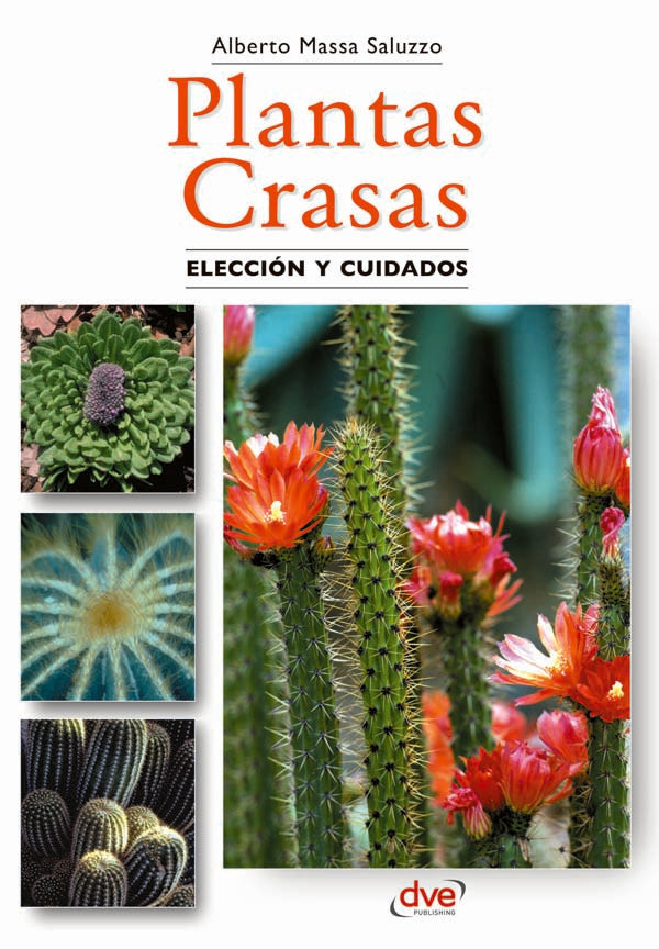 Plantas crasas | Massa Saluzzo