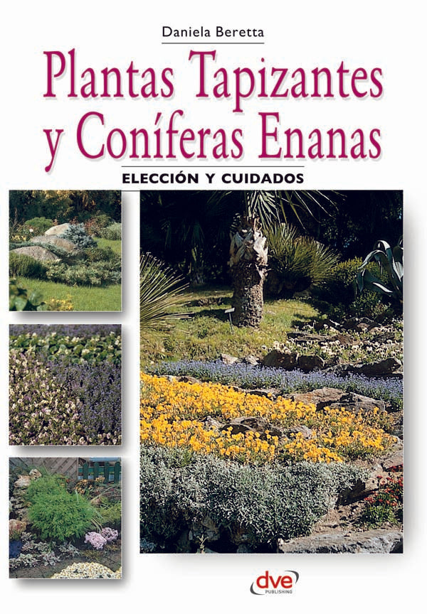 Plantas tapizantes y coníferas enanas | Beretta, Beretta