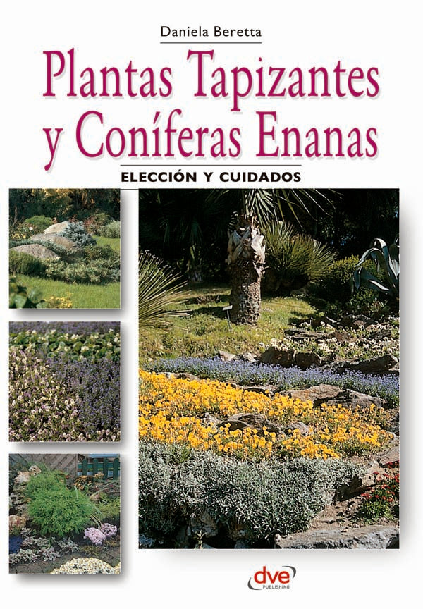 Plantas tapizantes y coníferas enanas | Beretta, Beretta