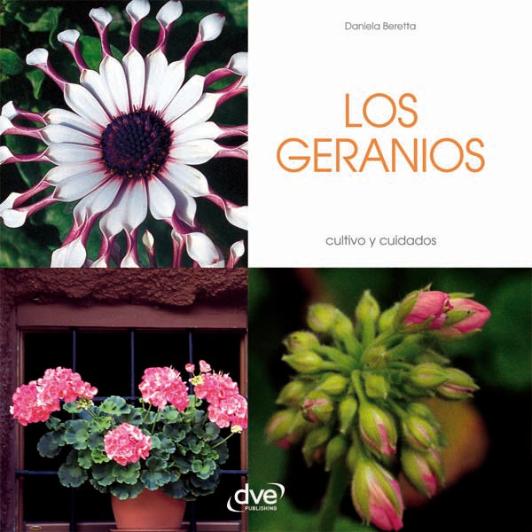 Los geranios | Daniela Beretta