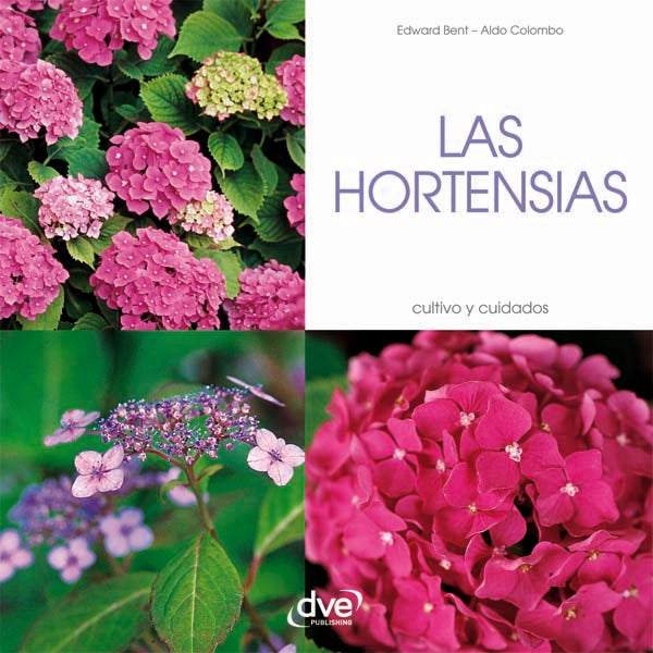 Las Hortensias | BENT, Colombo