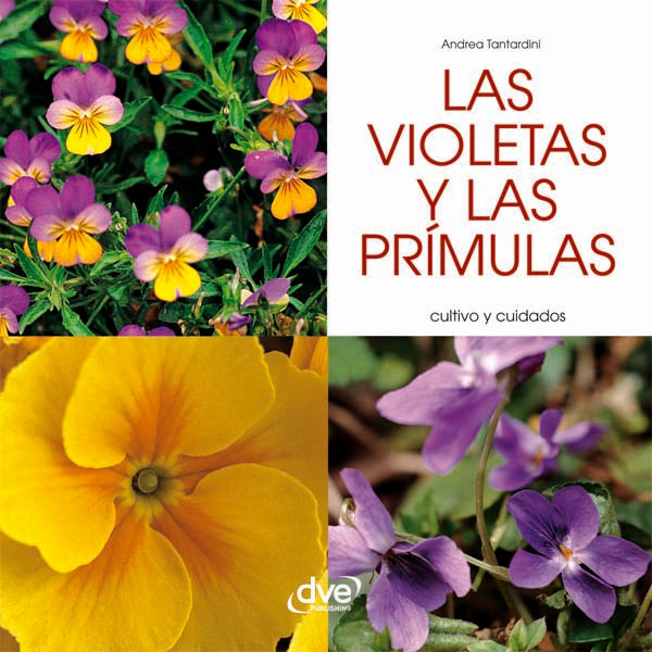 Las violetas y las prímulas | Andrea Tantardini