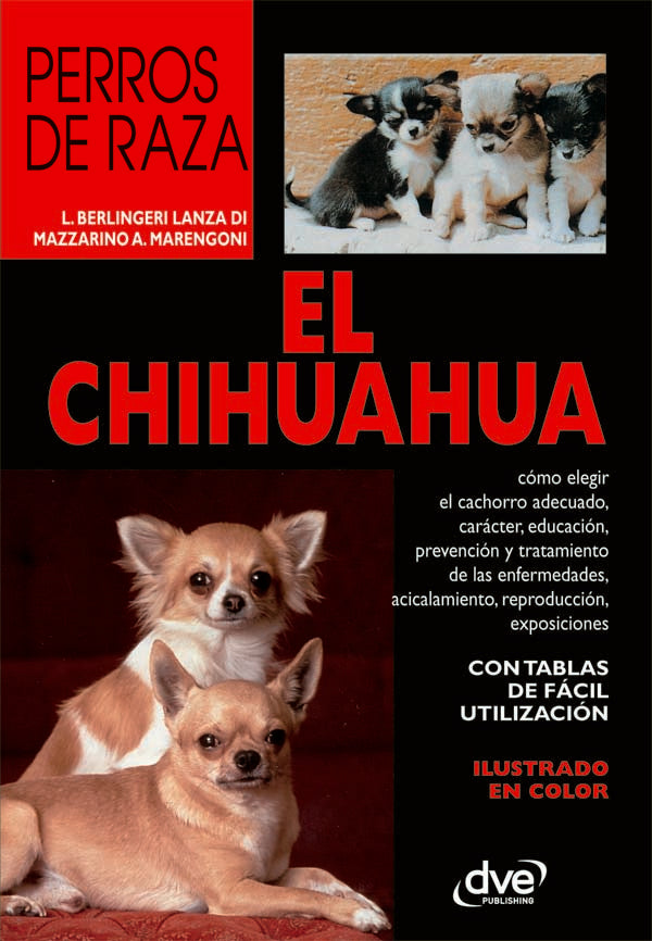 El Chihuahua | Berlingeri Lanza di Mazzarino A. Marengoni