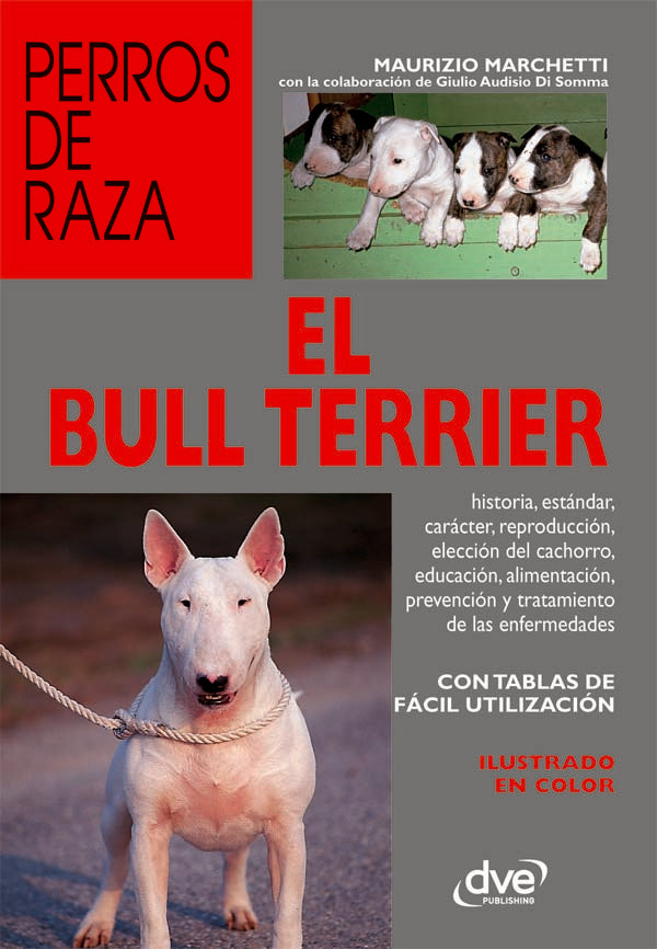 El bull terrier | Maurizio Marchetti
