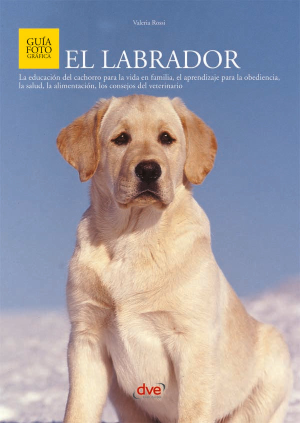 El Labrador | Valeria Rossi