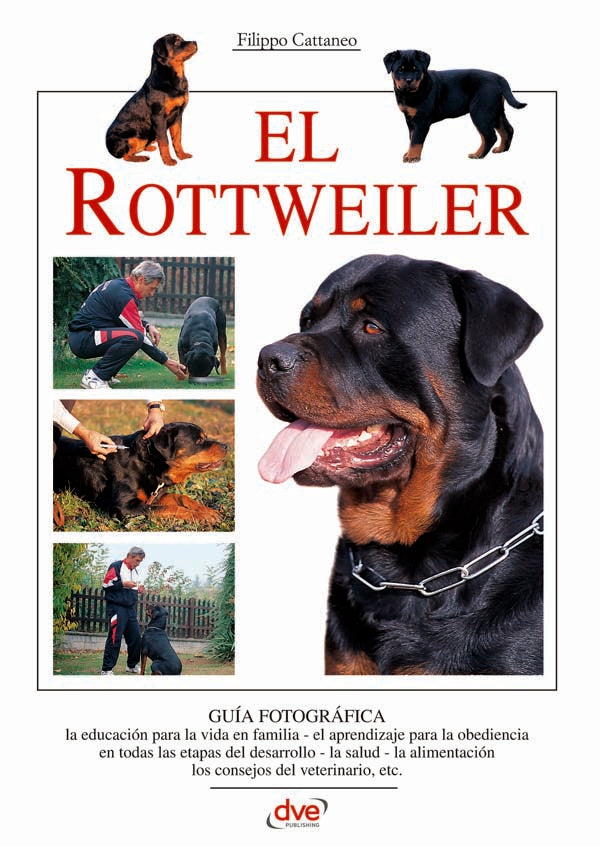 El rottweiler | Filippo Cattaneo