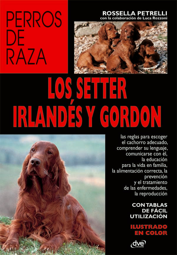 Los setter irlandés y gordon | Rossella Petrelli
