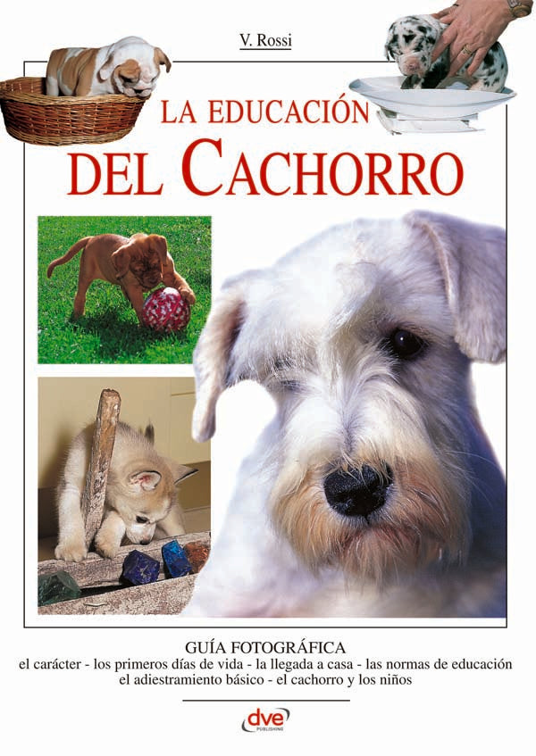 La educación del cachorro | V. Rossi