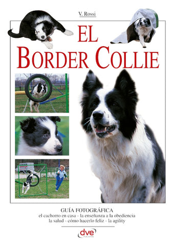 El border collie | V. Rossi