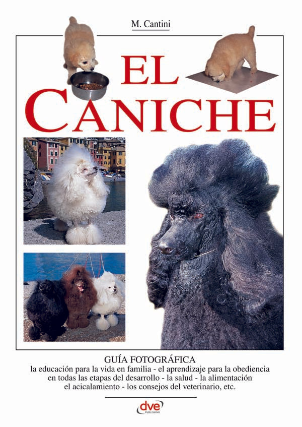 El caniche | M. Cantini