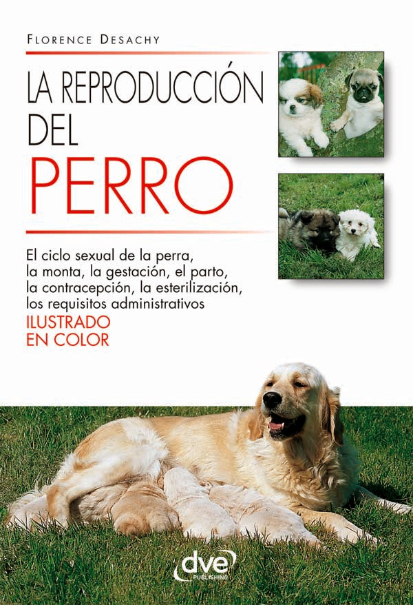 La reproducción del perro | Florence Desachy