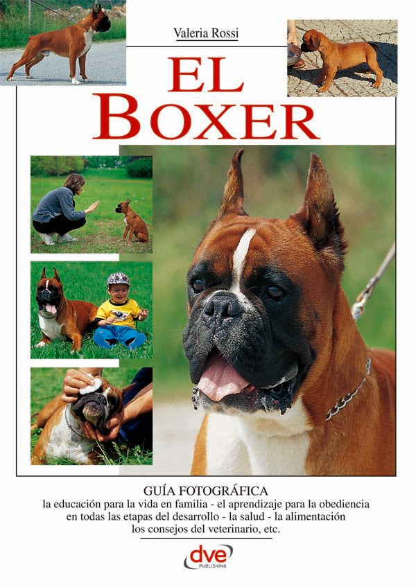 El Boxer | Valeria Rossi