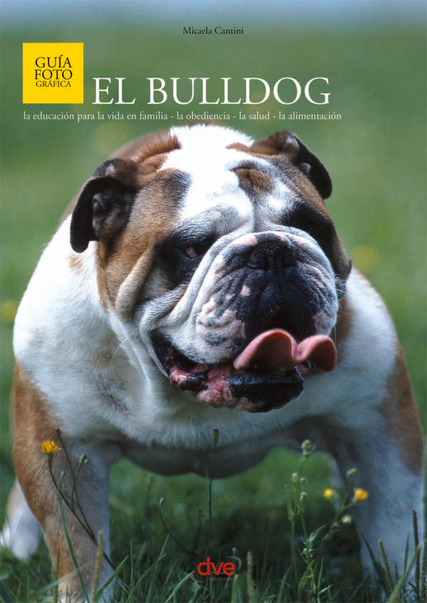 El bulldog | Micaela Cantini