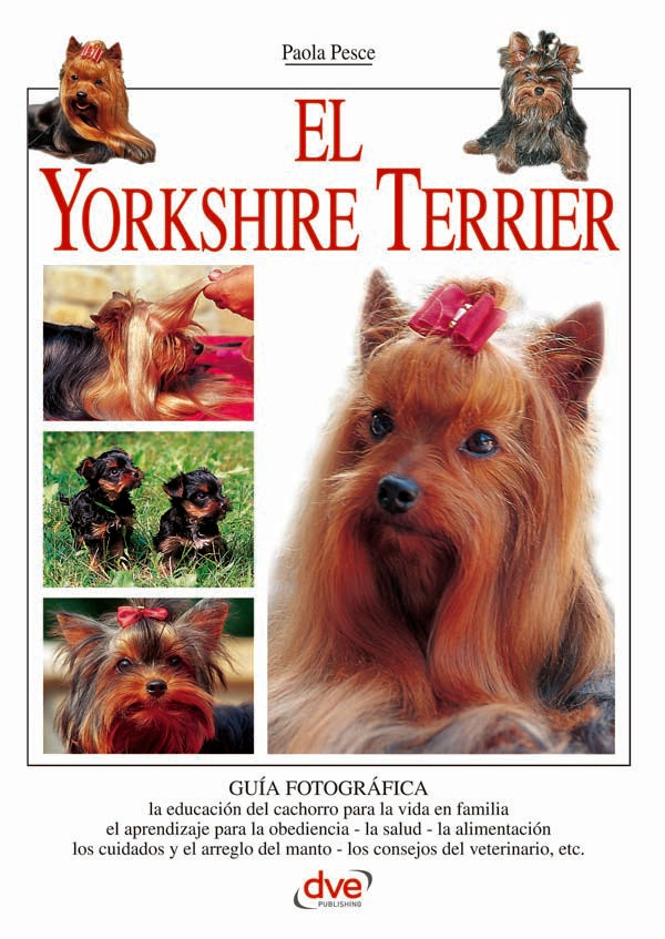 El yorkshire terrier | Paola Pesce