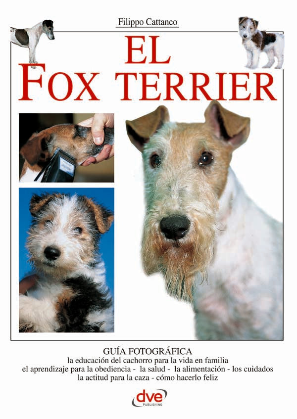 El fox terrier | Filippo Cattaneo