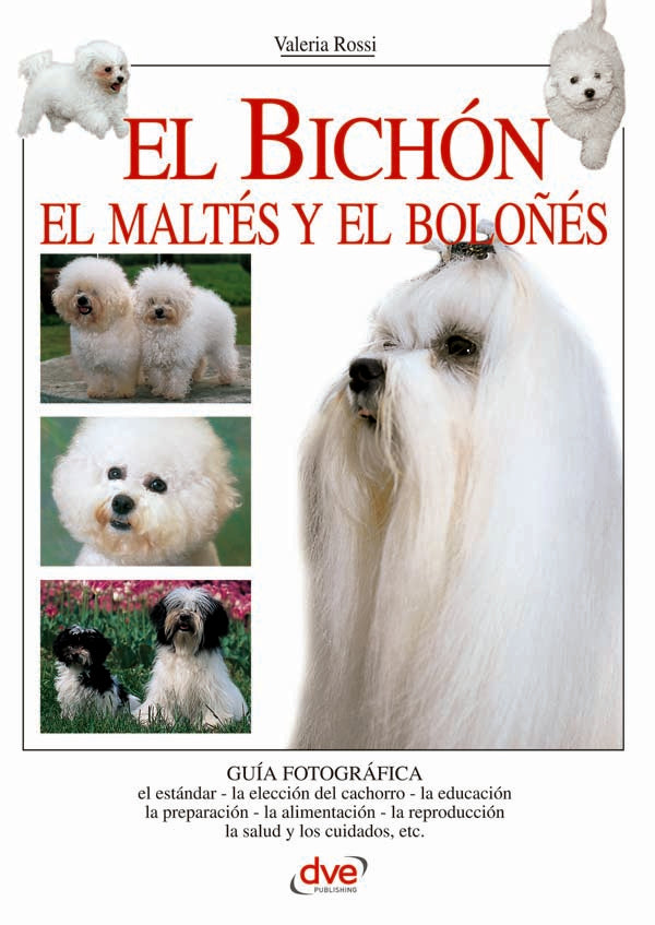 El bichón | Valeria Rossi