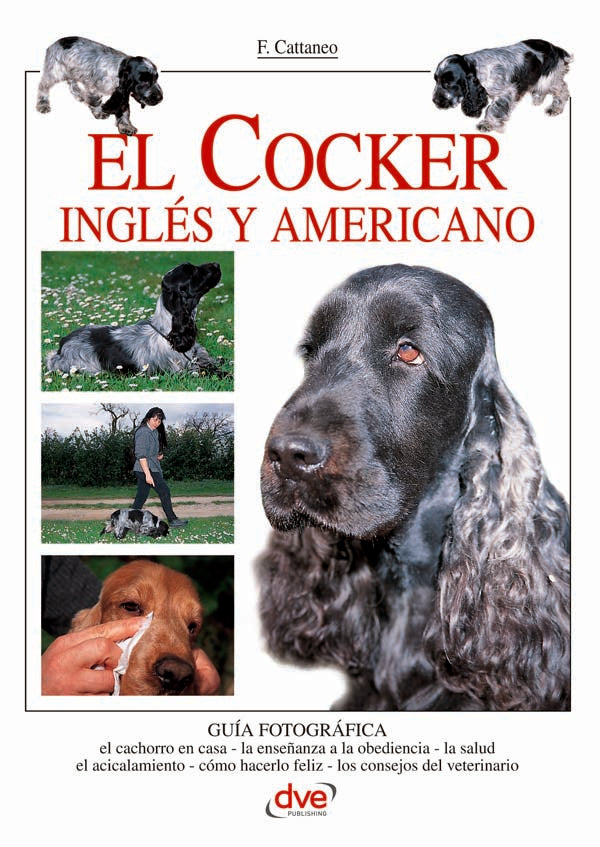 El cocker inglés y americano | F. Cattaneo