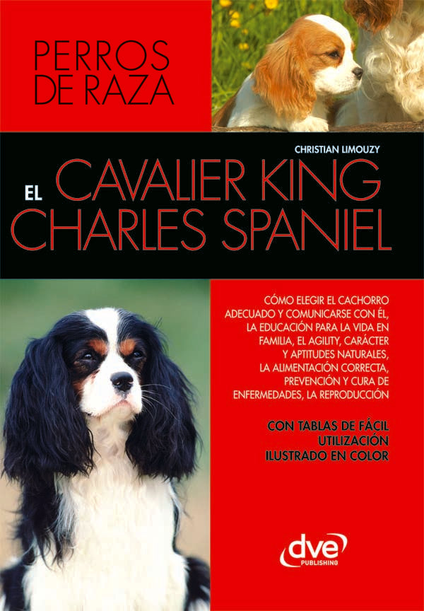 El cavalier king charles spaniel | Christian Limouzy
