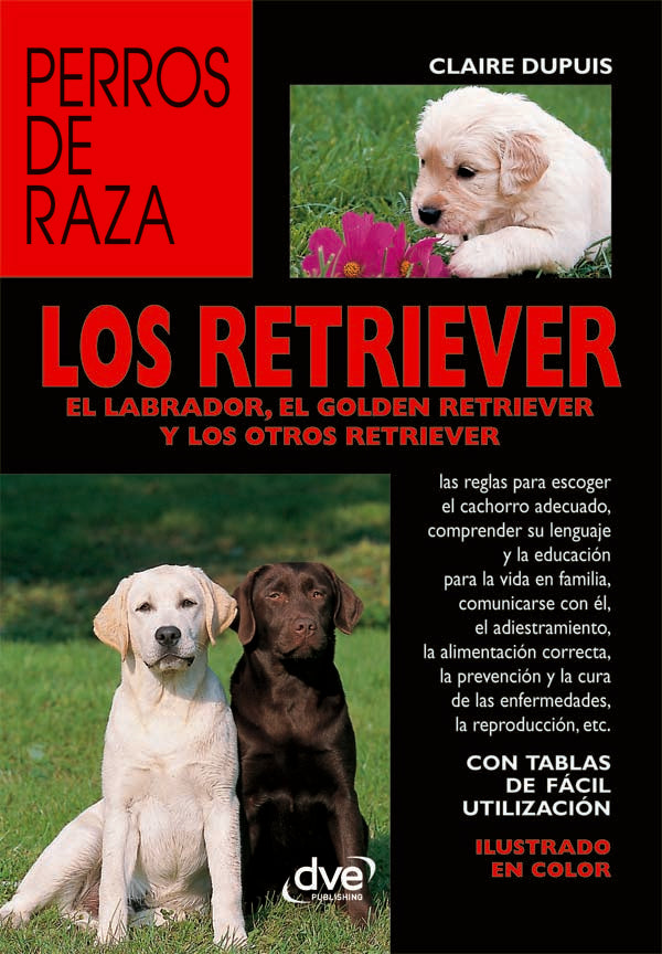 Los retriever | Claire Dupuis