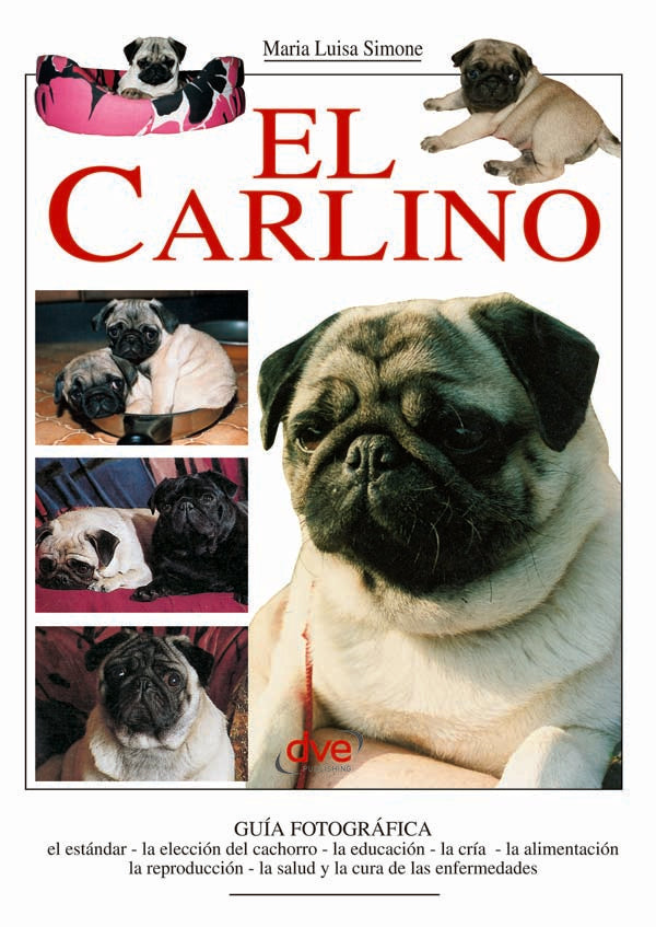 El carlino | Luisa Simone